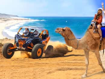 Cabo San Lucas: Camel Ride & Off-Road UTV Combo Adventure