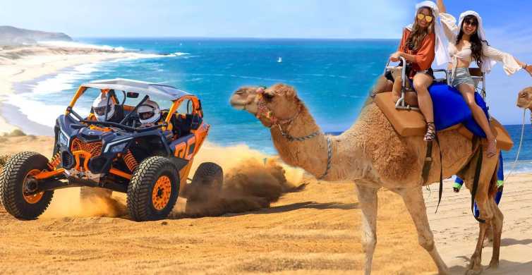 Cabo San Lucas: Camel Ride & Off-Road UTV Combo Adventure
