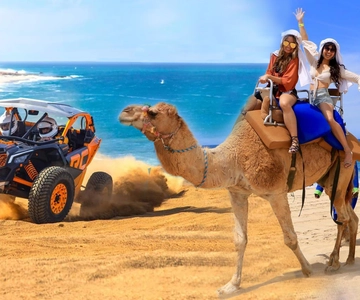 Cabo San Lucas: Giro in cammello e avventura combinata con UTV fuoristrada