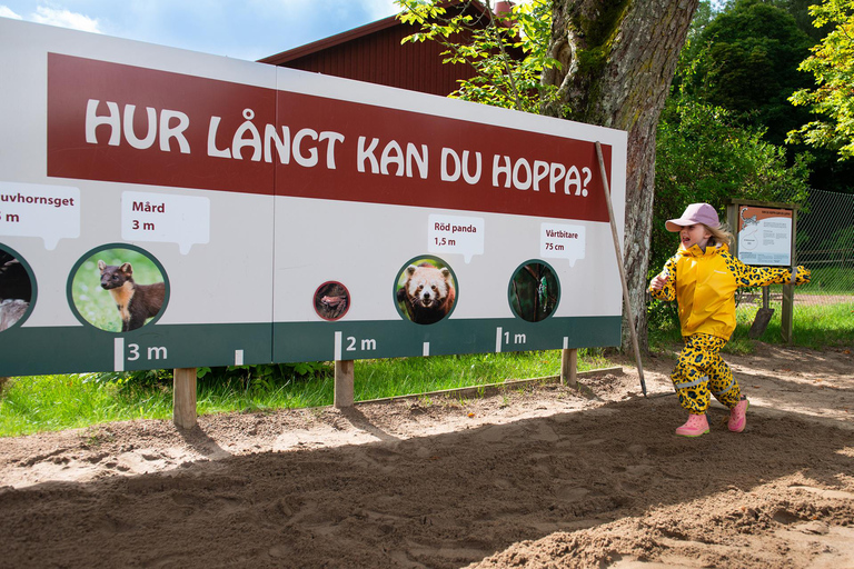 诺登方舟入场券Hunnebostrand：诺登方舟门票