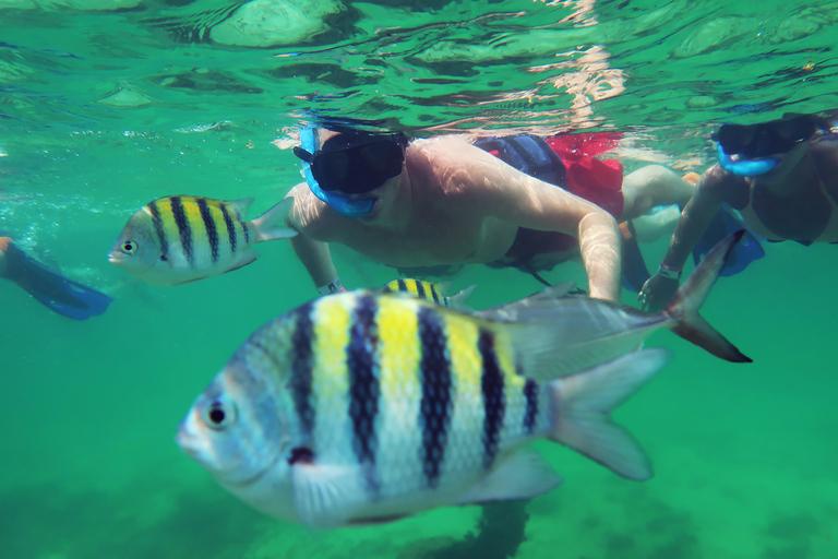 Tour guidato di Tulum, cenote, snorkeling nella laguna e pranzo