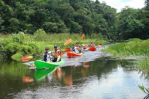 Rio Chagres: wycieczka kajakiem po jeziorze Gatun