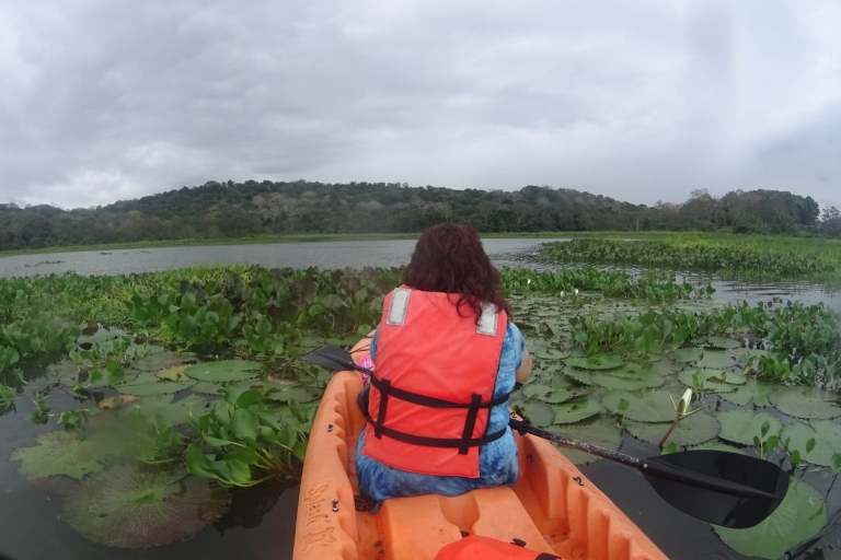 Rio Chagres: wycieczka kajakiem po jeziorze Gatun