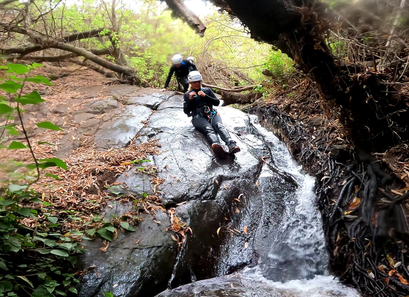 Gran Canaria: Canyoning-eventyr i det grønne hjertes jungle