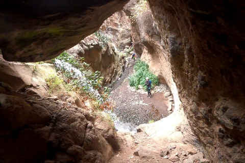 Las Palmas: Gran Canaria Jungle Abseiling With Waterfalls Canyoning: Abseiling with waterfalls in Gran Canaria Jungle