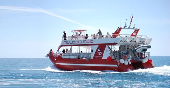 Gran Canaria: Dolphin and Whale Watching Cruise