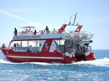 Gran Canaria: Delfin- und Whale-Watching-Bootsfahrt
