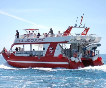 Gran Canaria: Dolphin and Whale Watching Cruise
