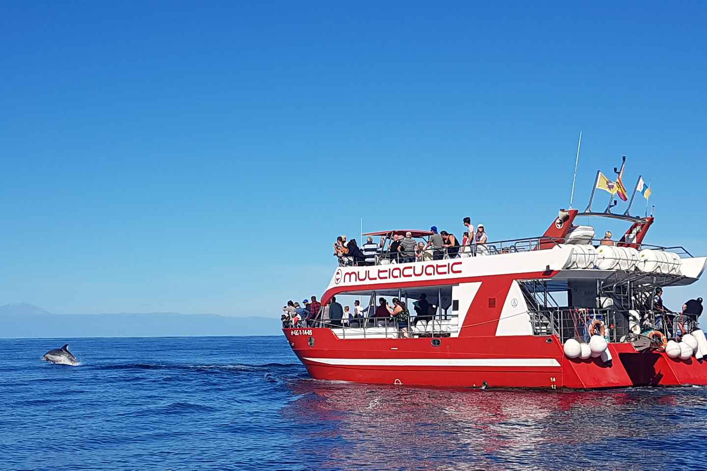 Gran Canaria: Crucero de Avistamiento de Delfines y Ballenas