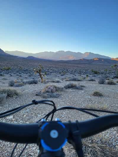 Las Vegas: Tour de bicicleta guiada de 4 horas