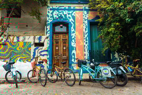 Buenos Aires: Graffiti and Urban Art Bike Tour with Lunch