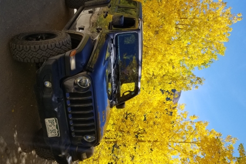 Durango: Wynajem jeepów terenowych z mapami i rekomendacjami4-drzwiowy Jeep Willy's Edition
