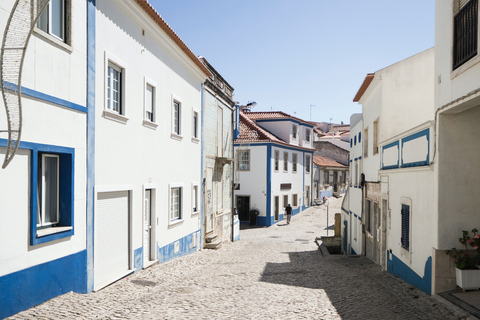 Desde Lisboa: tour de día completo de Mafra, Ericeira y QueluzTour privado