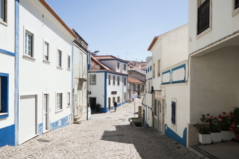 Desde Lisboa: tour de día completo de Mafra, Ericeira y QueluzTour privado