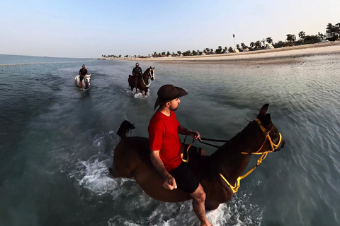 阿布扎比：胡代里亚特岛骑马体验与马共游