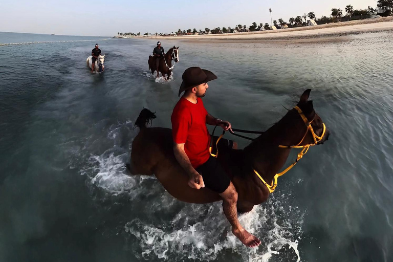 阿布扎比：胡代里亚特岛骑马体验与马共游