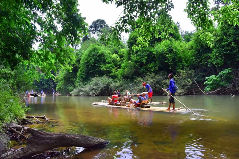 Khao Sok Elephant Rescue Center with Lunch & Bamboo Rafting GetYourGuide