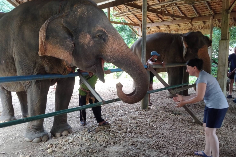 Khao Sak: centro de rescate de elefantes Khao Sok con almuerzo y raftingRecogida en el área de Khao Lak
