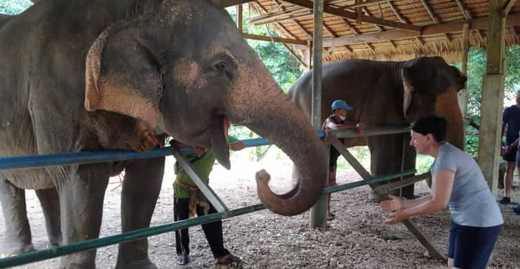 Khao Sok: Elephant Rescue Center with Lunch & Bamboo Rafting | GetYourGuide