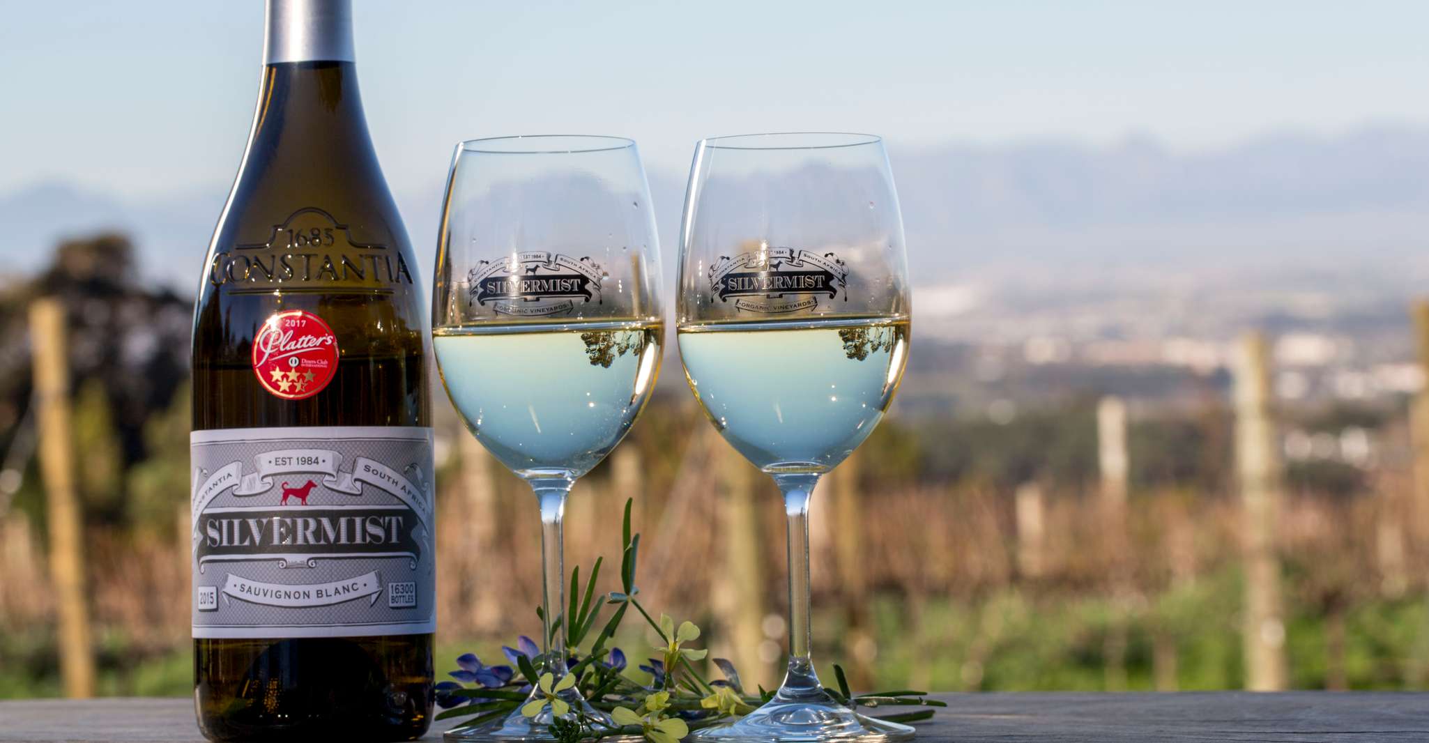 Cape Town: Silvermist Estate Wine Tasting & Drumstruck Show photo 5