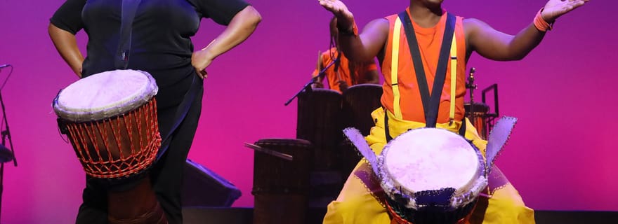 Le Cap : dégustation de vins au domaine Silvermist et spectacle Drumstruck