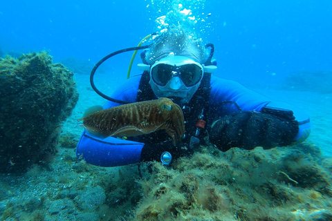 Teneriffa: Dyklektion och dykning i det skyddade området AbadesTeneriffa: Scuba Diving Lektion och Abades Protected Area Dive