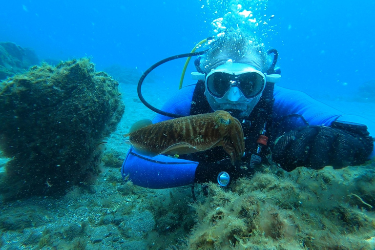 Teneriffa: Dyklektion och dykning i det skyddade området AbadesTeneriffa: Scuba Diving Lektion och Abades Protected Area Dive