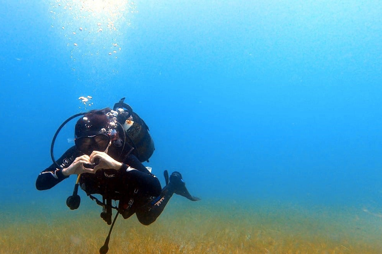 Teneriffa: Dyklektion och dykning i det skyddade området AbadesTeneriffa: Scuba Diving Lektion och Abades Protected Area Dive