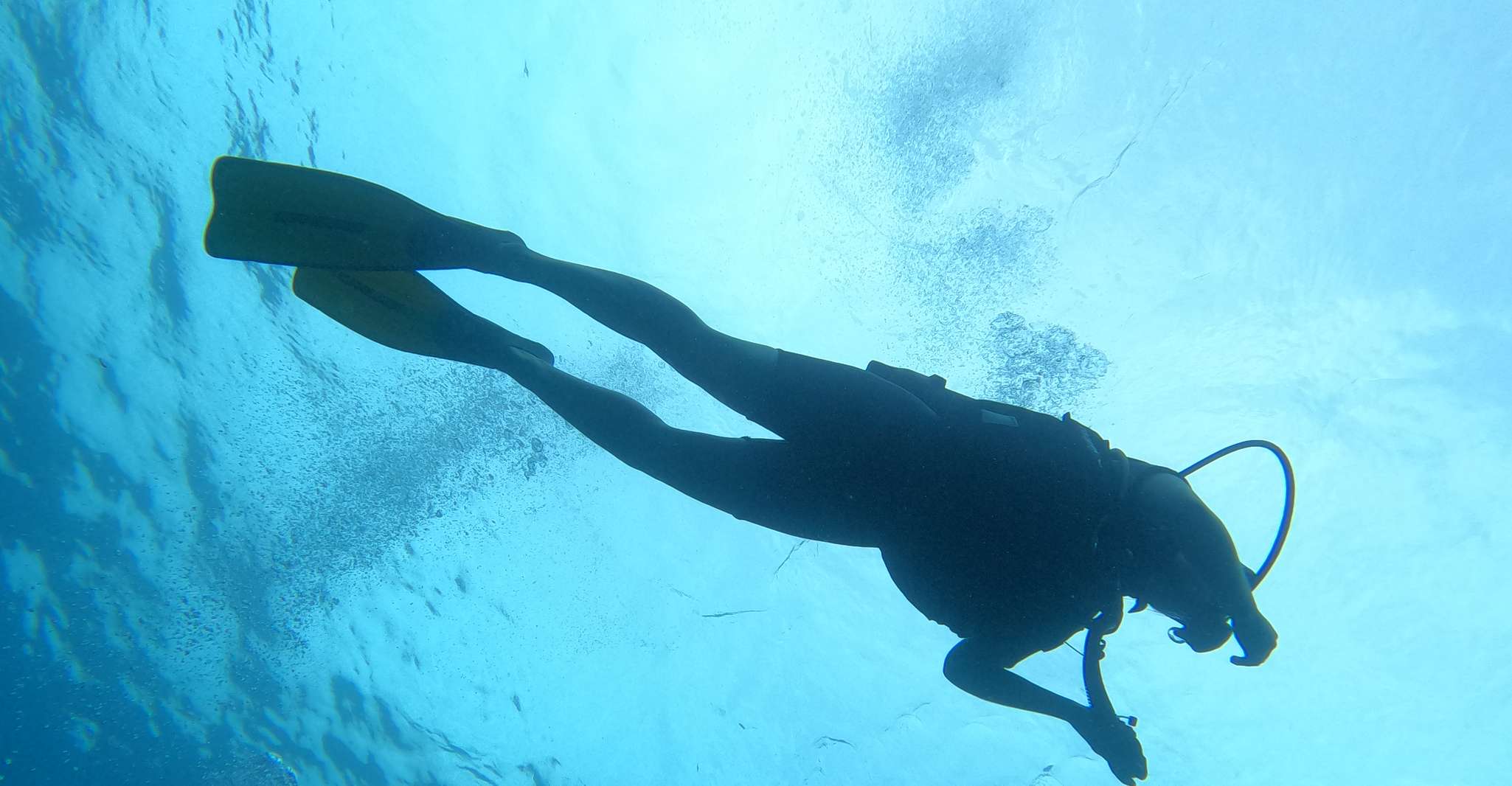 La mejor excursión de buceo en Villasimius - Hizvo