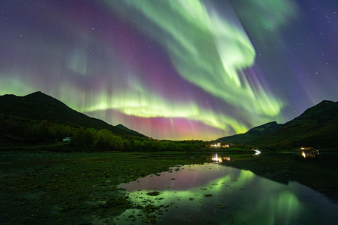 Tromsø: Northern Lights Hunt with Photos and Hot Food