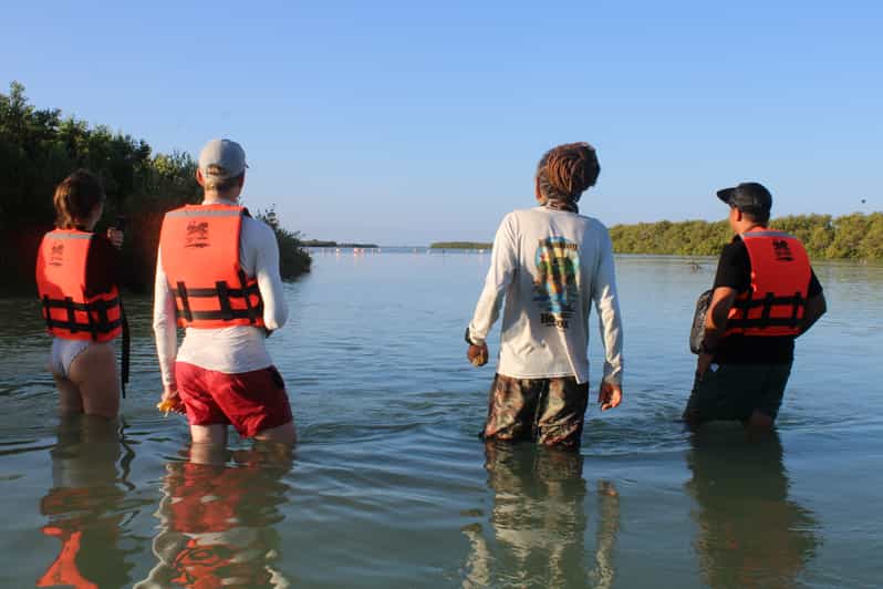 Holbox Guided Sunrise Kayak Tour through Mangrove Reserve GetYourGuide