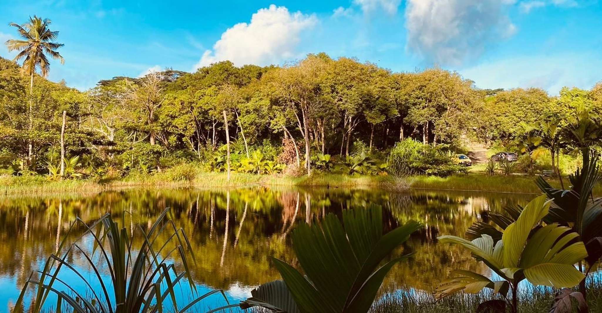 Tour Guide Praslin Valle De Mai, Museum & Anse Lazio Trip - Housity