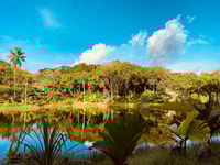 Tour Guide Praslin Valle De Mai, Museum & Anse Lazio Trip - Housity