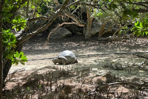 Seychelles: Valle De Mai, Praslin Museum & Anse Lazio Trip