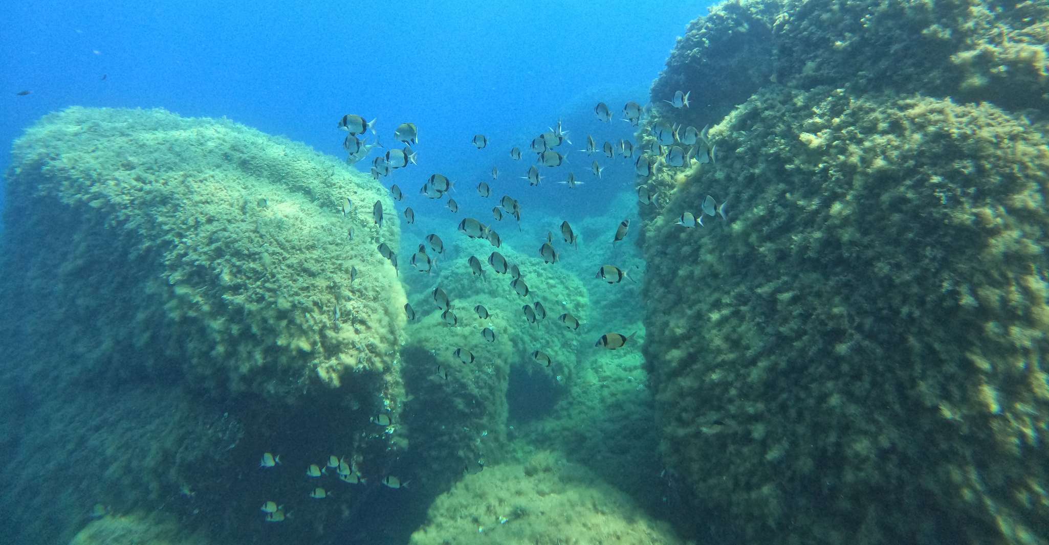 Pruebe Buceo sin certificación en Villasimius - Hizvo