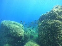 Pruebe Buceo sin certificación en Villasimius - Hizvo