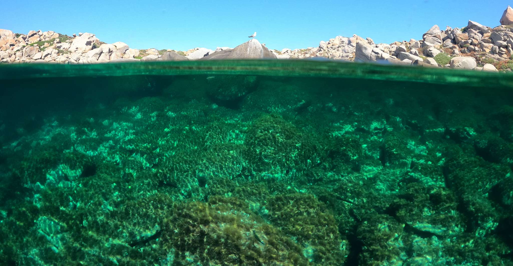 Pruebe Buceo sin certificación en Villasimius - Hizvo