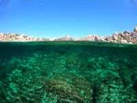 Pruebe Buceo sin certificación en Villasimius - Hizvo
