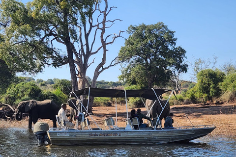Unique Chobe Day Trip with 2 River Safaris