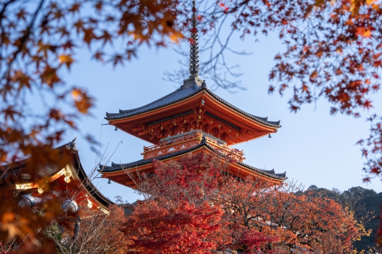 Kyoto: visite privée guidée personnalisée