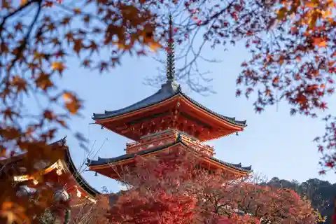 Kyoto: Personalized Guided Private Tour