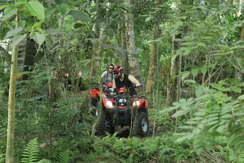 Ubud: Quad ATV Gorilla Cave, Legong Tunnel & Mud Adventure Single ATV - 50 Minutes (Meeting Point)