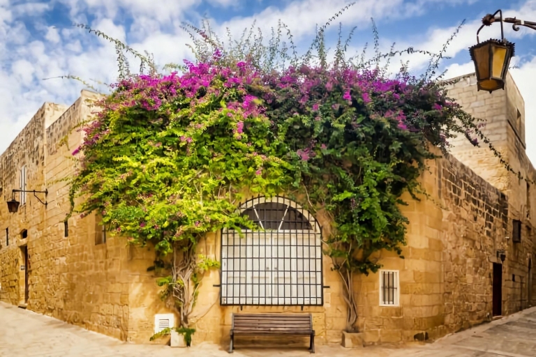 Malte : Mdina, les falaises de Dingli et les jardins botaniques de San Anton HD