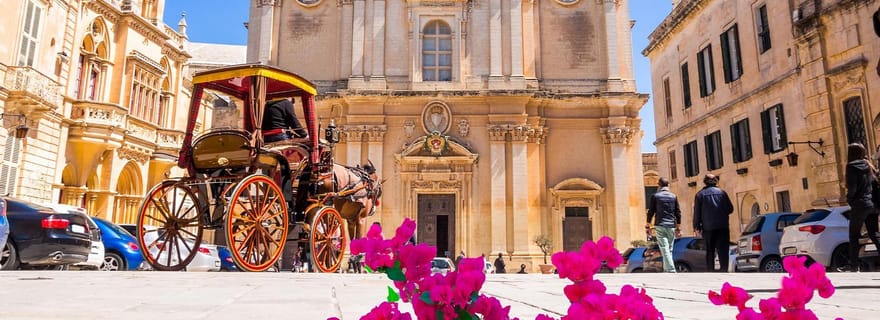 Malte : Mdina, les falaises de Dingli et les jardins botaniques de San Anton