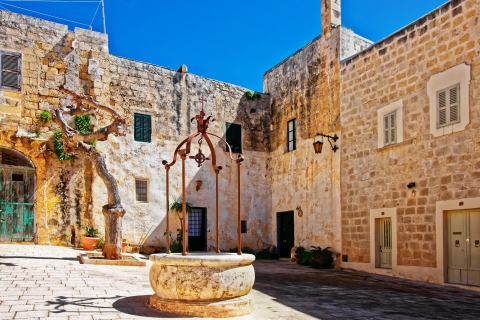 Malta: Mdina, acantilados de Dingli y jardín botánico de San Anton HD
