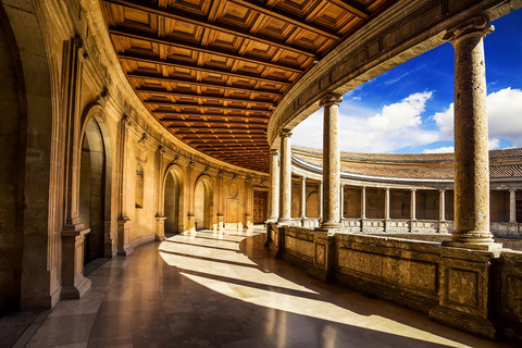 Granada: Visita guiada ao Palácio de AlhambraAlhambra sem Palácios Nasrid: Tour Francês