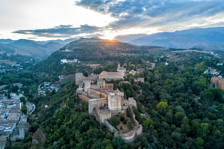 Grenade : Visite guidée du palais de l'AlhambraL'Alhambra sans les palais nasrides : Visite allemande