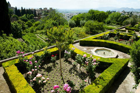 Granada: Visita guiada ao Palácio de AlhambraAlhambra sem Palácios Nasridas: tour alemão