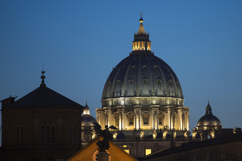 Vatican City: Papal Audience and St.Peter's Basilica Tour vatican : Papal Audience, St.Peter's Basilica spanish Tour