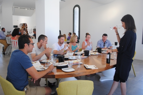 Santorin: Geführte Weintour mit Abholung und SnacksGruppenreise